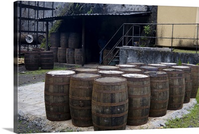 Martinique. French Antilles. West Indies. J.M. Distillery in Macouba. Oak barrels