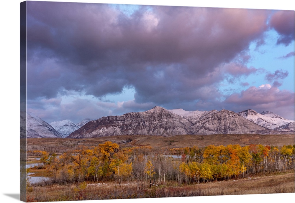 Morning light on autumn aspen groves along Maskinonge Lake in Waterton Lakes National Park, Alberta, Canada