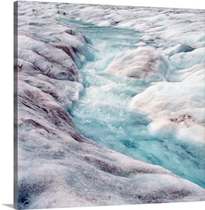 Melt-off of Athabasca Glacier of the Columbia Icefields, Jasper National Park, Canada image thumbnail