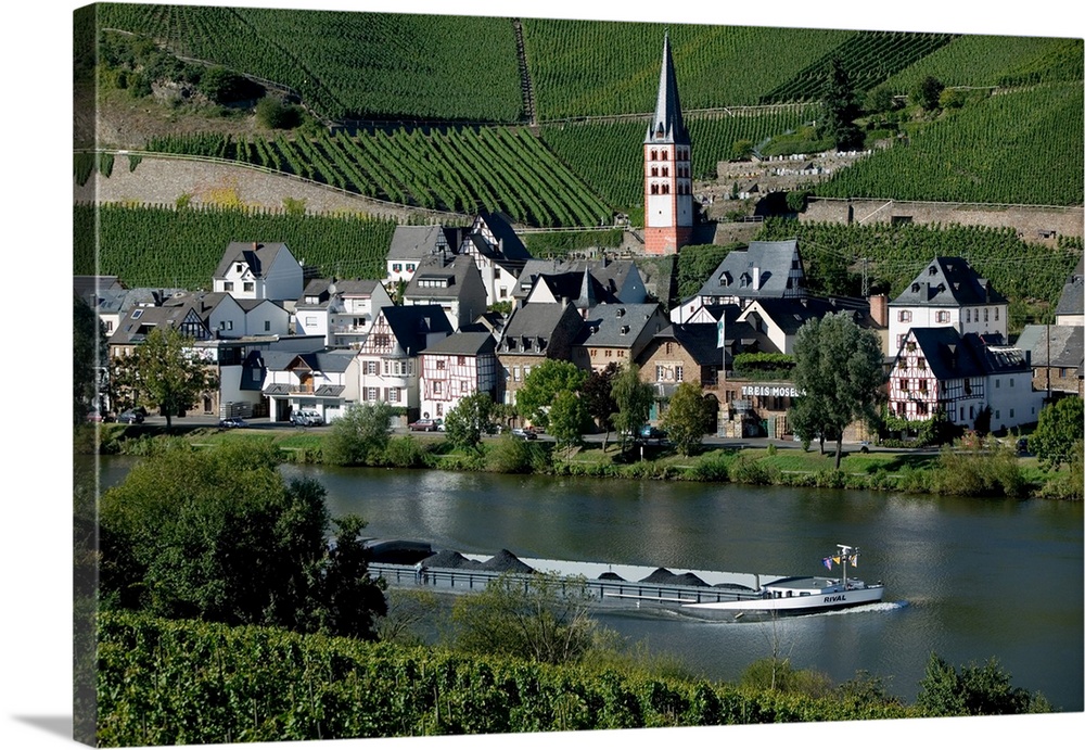 Merl bei Zell, vineyards, Mosel Valley, Germany