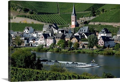 Merl bei Zell, vineyards, Mosel Valley, Germany