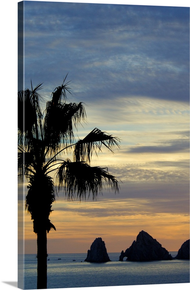 North America, Mexico, Baja California Sur, Cabo San Lucas. Baja sunset palm with famous rock formation, Los Arcos (The Ar...
