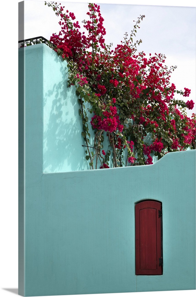Mexico, Baja California Sur. Loreto Bay, colorful home and climbing azalea.
