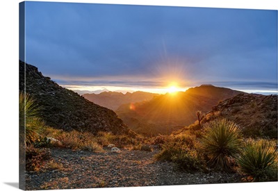 Mexico, Baja California Sur, Sierra De San Francisco, Desert Sunrise From A Mountain