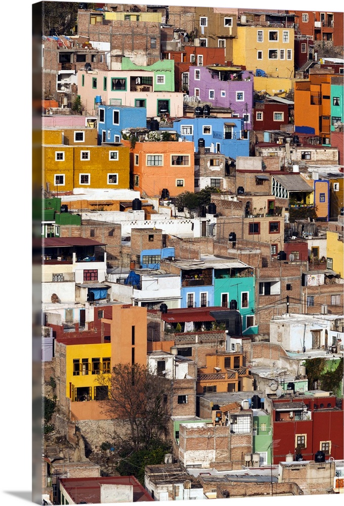 Mexico, Guanajuato. Colorful homes rise up the hillside of this colorful Mexican town.