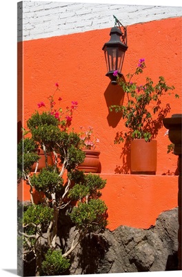Mexico, Guanajuato, colorful wall with lantern and potted plants