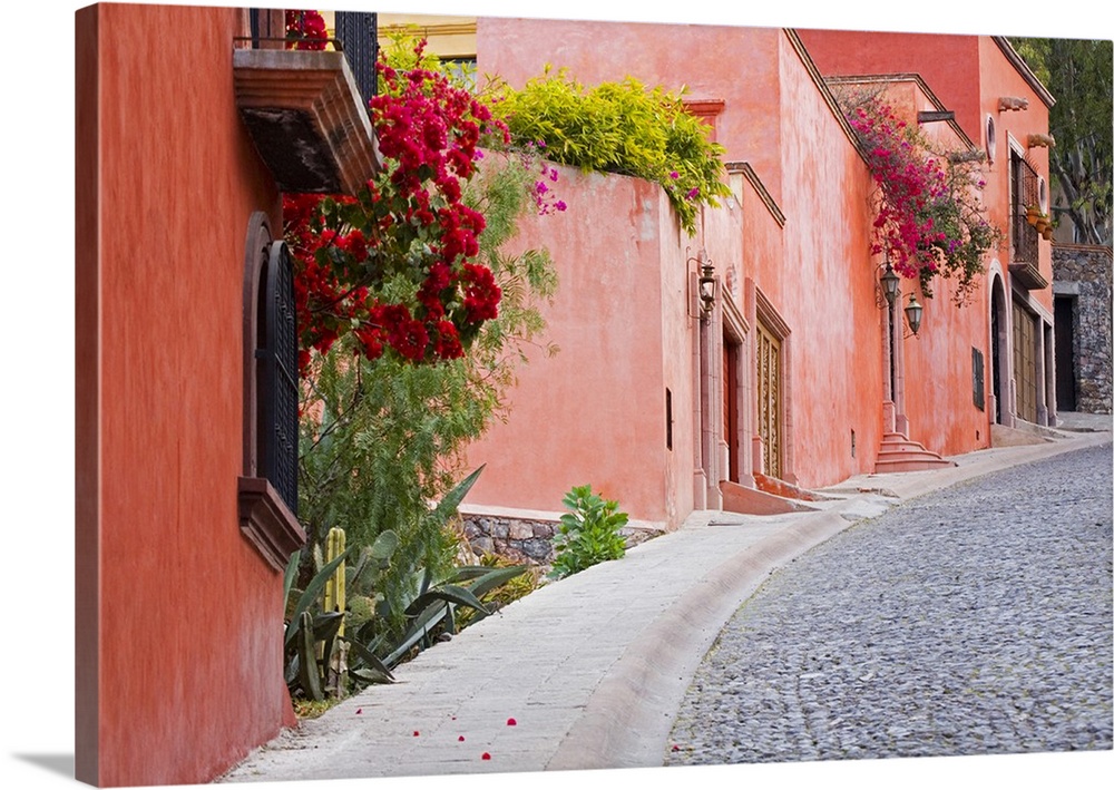 North America, Mexico, Guanajuato state, San Miguel de Allende. A colorful neighborhood on the edge of town.