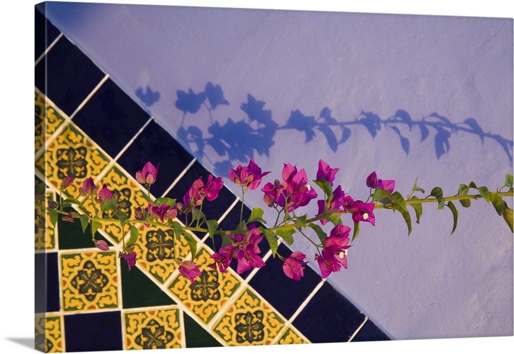 North America, Mexico, Yucatan, Merida. Tiled wall near the pool at the Hotel MedioMundo in the town of Merida.