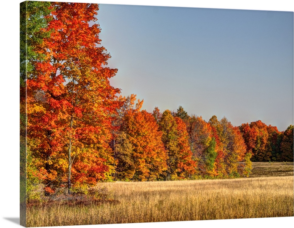 North America, US, Michigan, Upper Peninsula. Fall colors in Hiawatha National Forest.