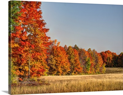 Michigan, Upper Peninsula. Fall colors in Hiawatha National Forest