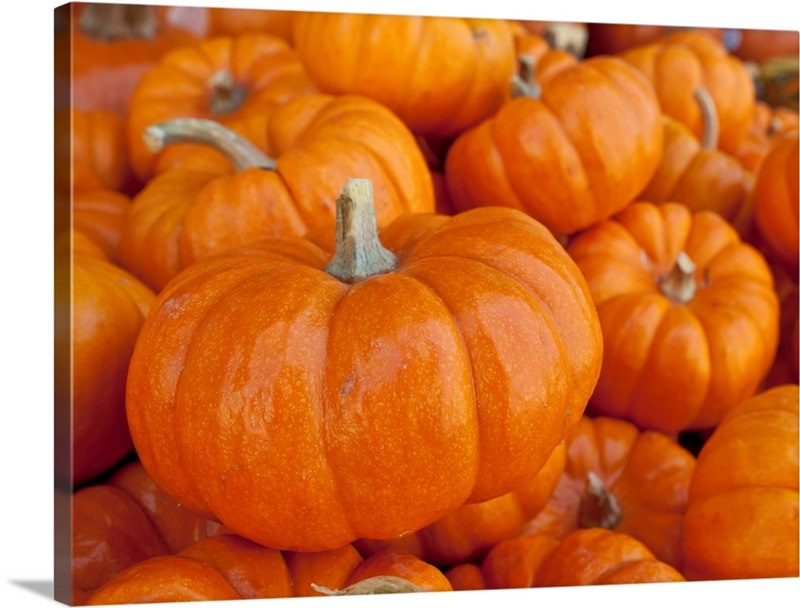 Mini pumpkins at fruit stand, Los Angeles, CA Great Big Canvas