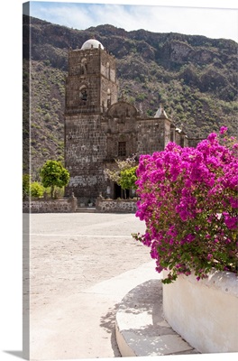 Mission San Francisco Javier With Bougainvillea Blooms, Sea Of Cortez, Mexico