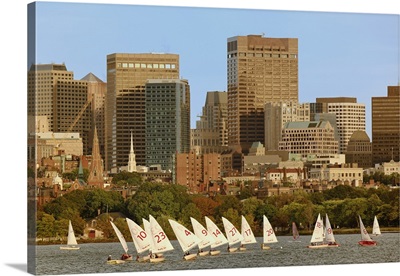 MIT sailing team in Charles River, Boston, MA