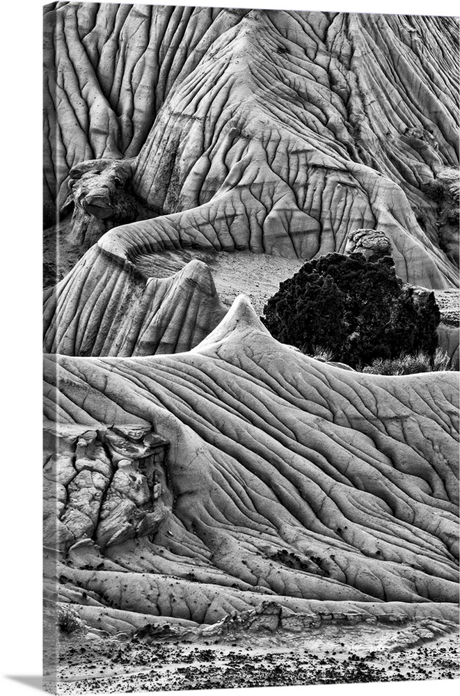 North America, USA, Montana.  Black and white image of unusual erosion formations found in Makoshika State Park, Montana