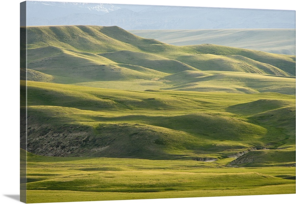 USA, Montana, Rocky Mountain Front. Green hills east of Great Falls.