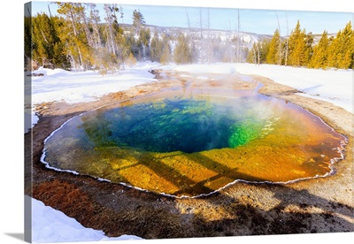 Morning Glory In Snow, Yellowstone National Park, Wyoming