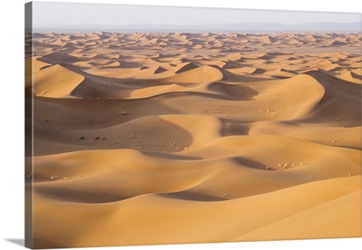 Morocco, Erg Chegaga is a Saharan sand dune