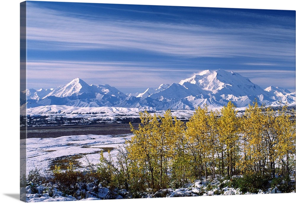 The end of the summer at Mt. Denali. The first snow fall of the season in the first week of September at Denali National P...