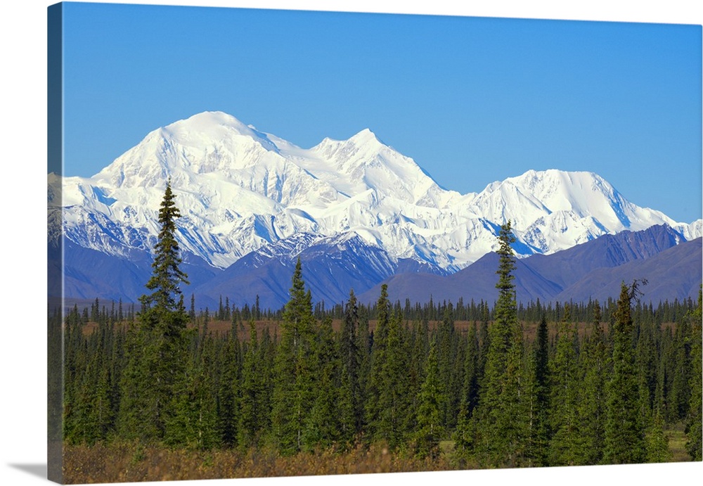 Unofficially called Denali, Mt. McKinley is an awesome sight on an unusually clear day. It is simply called "the Mountain"...