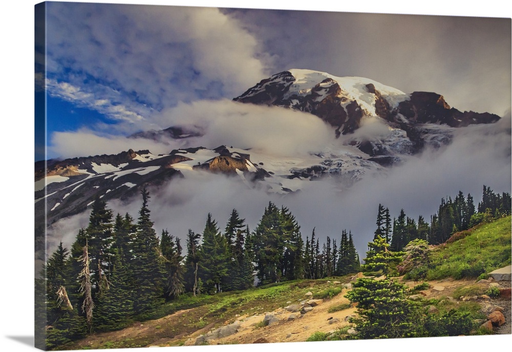 Mt. Rainier within the national park.