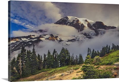 Mt, Rainier Within The National Park