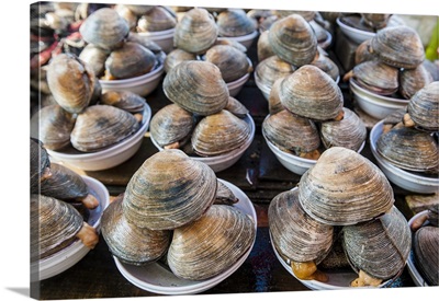 Mussels for sale at the fish market in Busan, South Korea