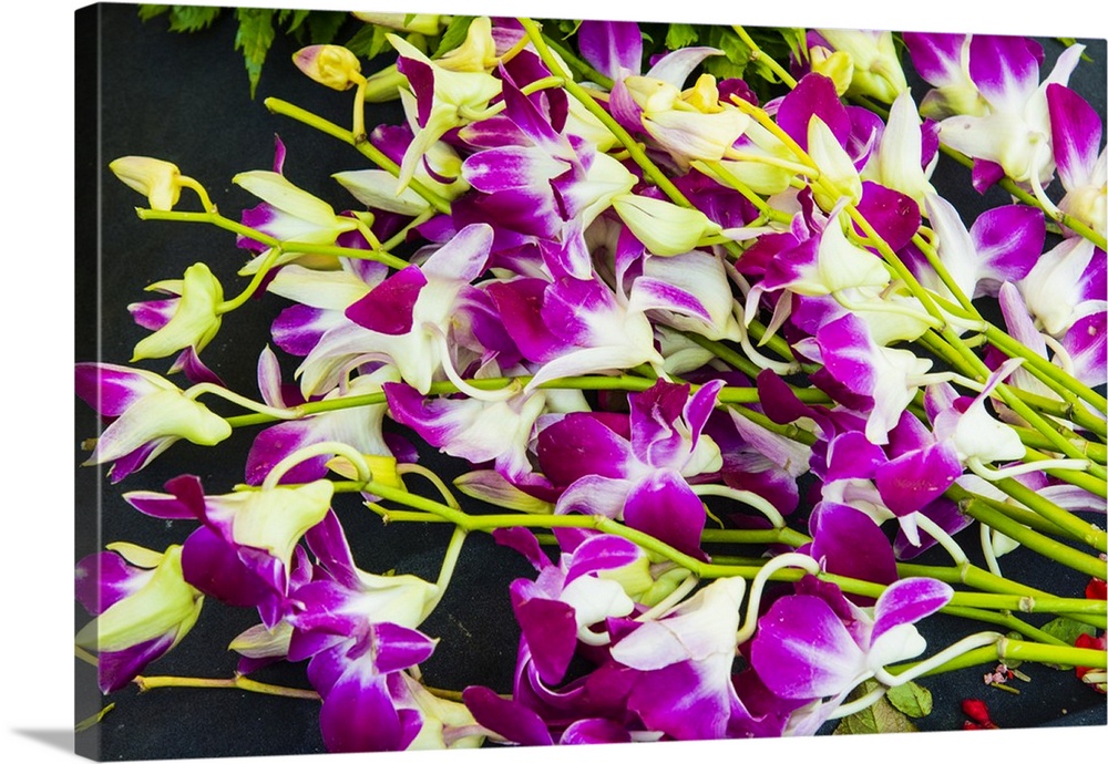 Myanmar. Mandalay. Orchids for sale in the market.