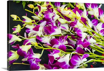 Myanmar, Mandalay, Orchids for sale in the market