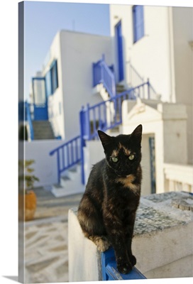 Mykonos, Greece. Cat Perched On Railing