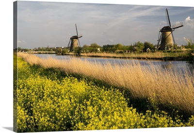 Netherland, Kinderdijk, Windmills Along The Canal