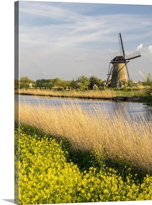Netherland, Kinderdijk, Windmills Along The Canal