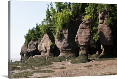 New Brunswick, Canada. Hopewell Rocks and The Ocean Tidal Exploration Site