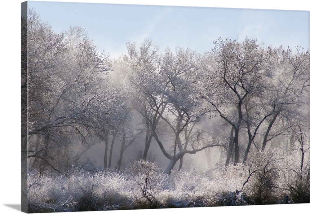 Along the Bosque