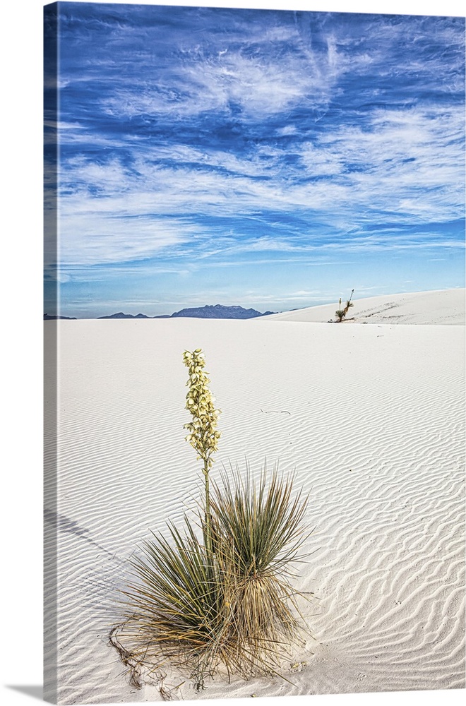 New Mexico's White Sands National Park.