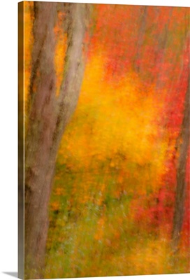 New York, Inlet. Abstract of autumn forest scene