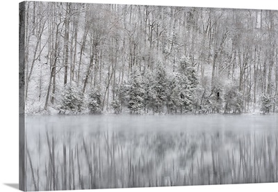 New York State, Winter Trees Reflected In Round Lake