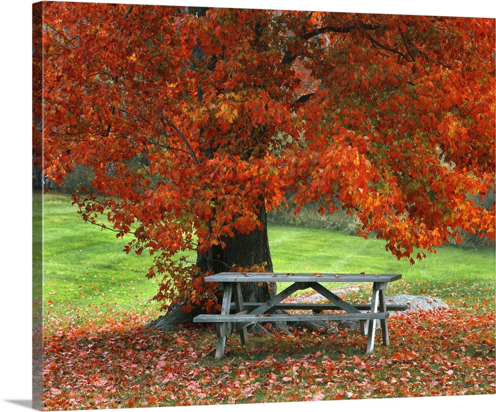 Autumn scene in West Park New York
