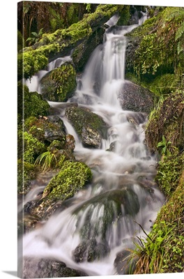 New Zealand, Glenorchy Small Falls