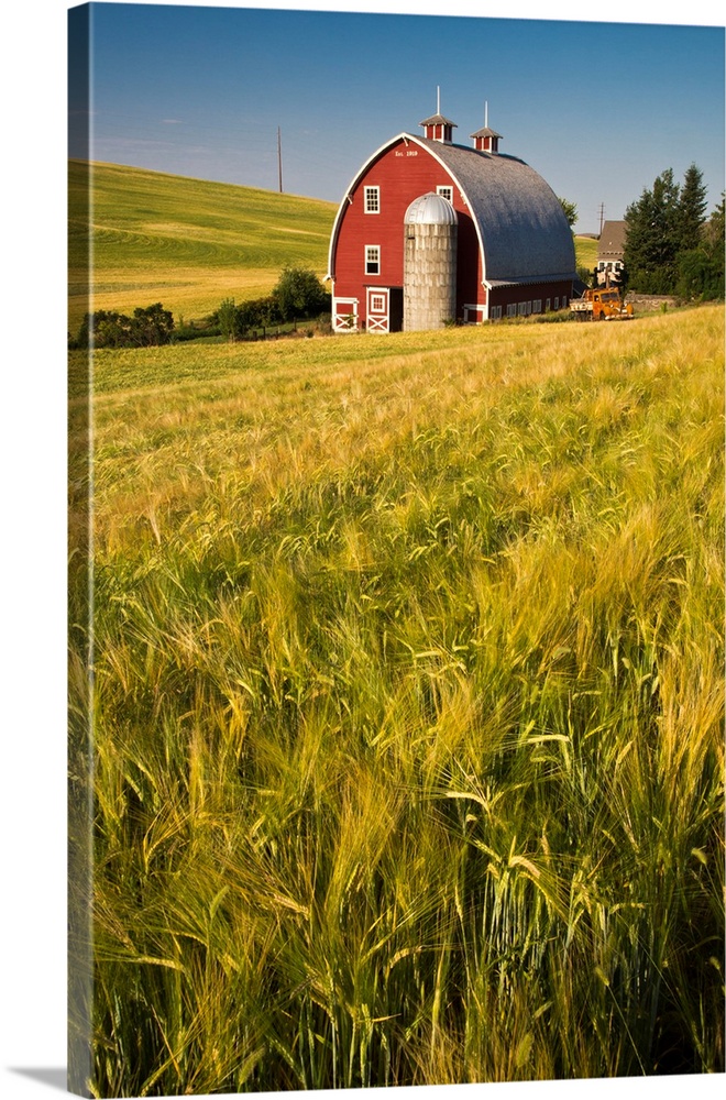 North America, US, Washington, Red Barn in Field of Harvest Wheat