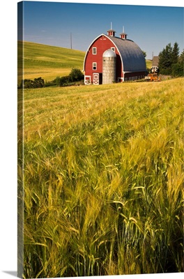 North America, US, Washington, Red Barn In Field Of Harvest Wheat