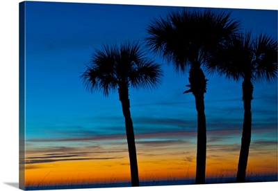 North America, USA, Florida, Sarasota, Crescent Beach, Siesta Key, Sunset and Palm Trees