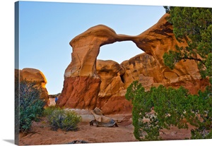 North America, USA, Utah, Grand Staircase/Escalante, Devil's Garden, Metate Arch image thumbnail