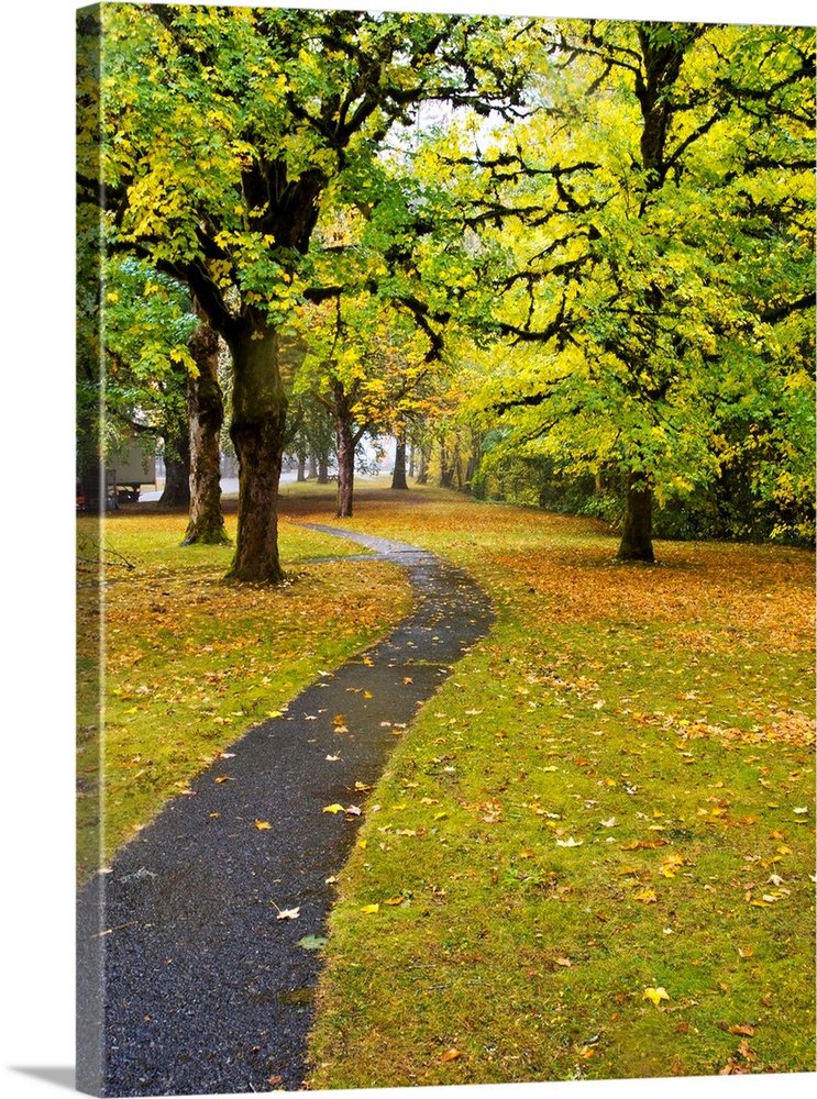 North America, USA, Washington, Newhalem, Trail leading through Autumn color in Newhalem