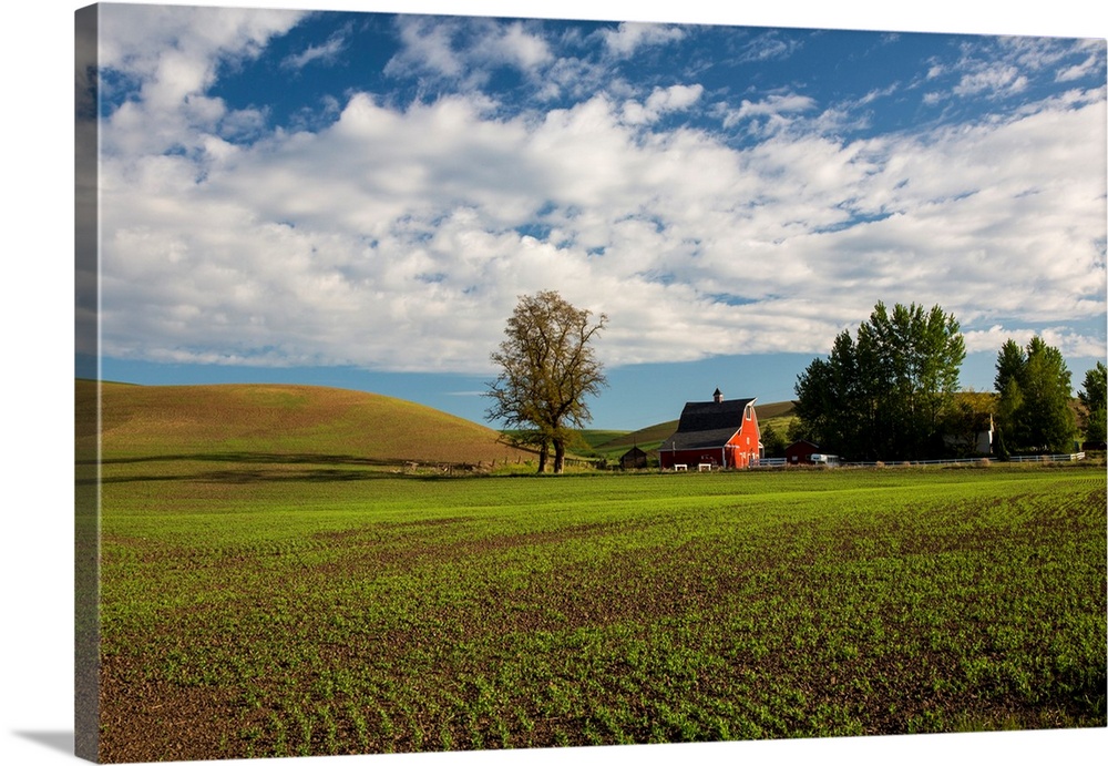 North America, USA, Washington, Red Barn in Spring