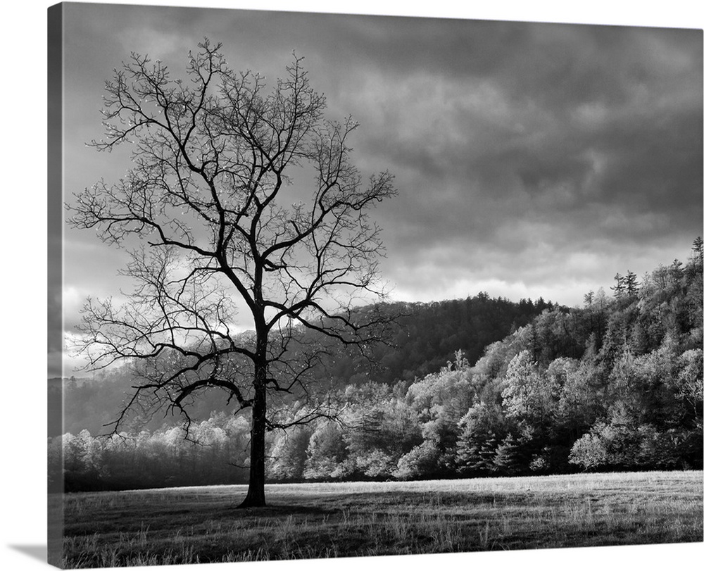 USA, North Carolina, Great Smoky Mountains National Park, Storm clearing at dawn in Cataloochee Valley