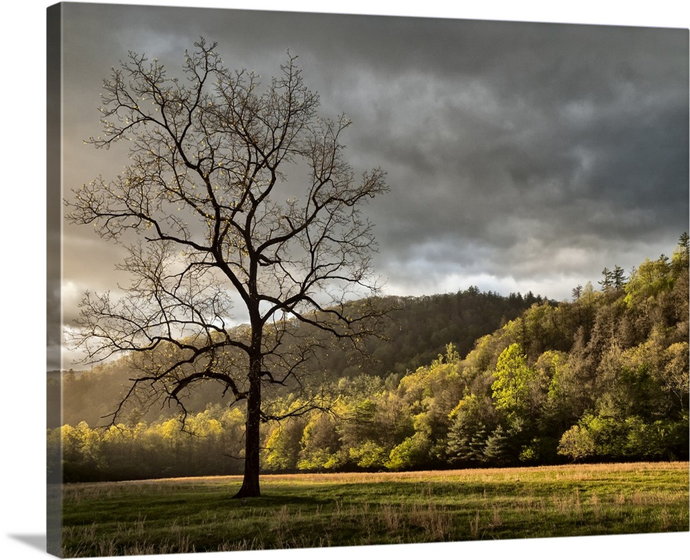 USA, North Carolina, Great Smoky Mountains National Park, Storm clearing at dawn in Cataloochee Valley