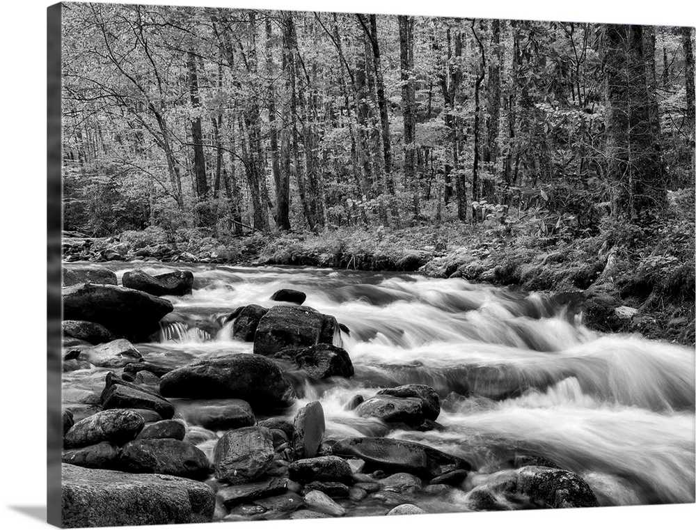 USA, North Carolina, Great Smoky Mountains National Park, Water flows at Straight Fork near Cherokee