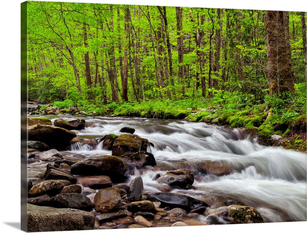 USA, North Carolina, Great Smoky Mountains National Park, Water flows at Straight Fork near Cherokee