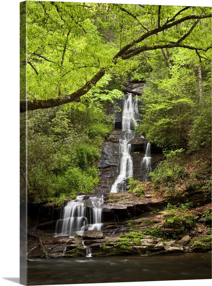 USA, North Carolina, Great Smoky Mountains National Park, Tom Branch Falls