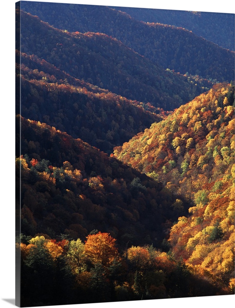 USA, North Carolina, View of Great Smoky Mountains National Park